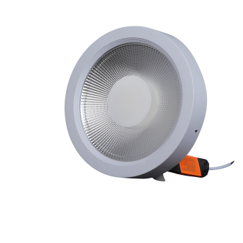 Down Light 