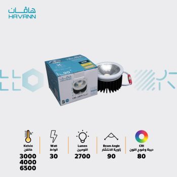 Havann Down Light 30W 90Angle