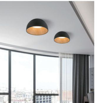 celling light 