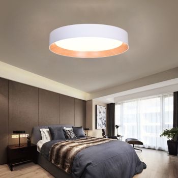 celling light 