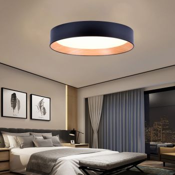 celling light 