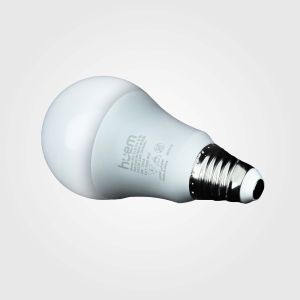 smart bulb