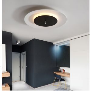 celling light 