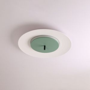 celling light 