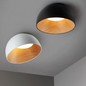 celling light 